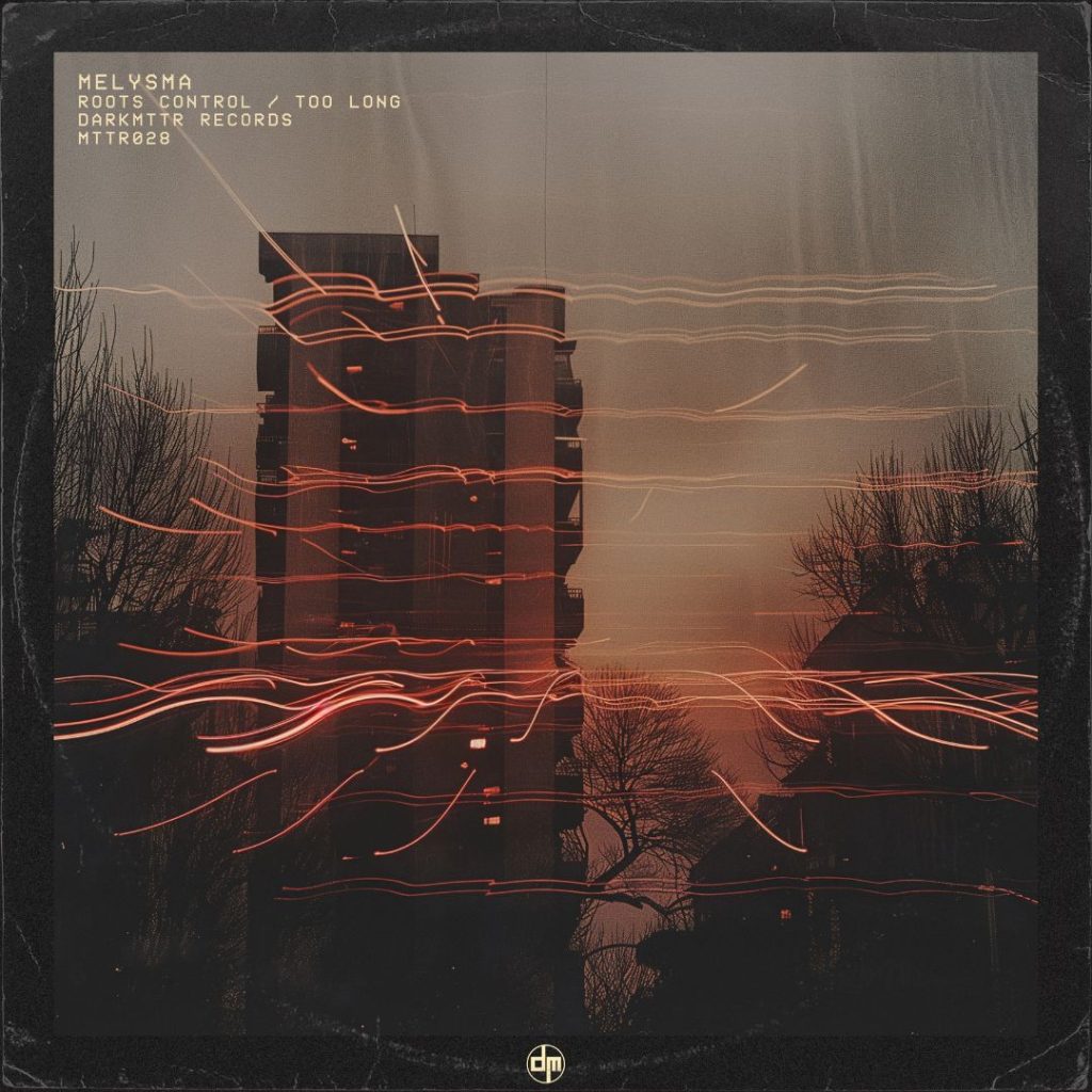 Roots Control / Too Long cover