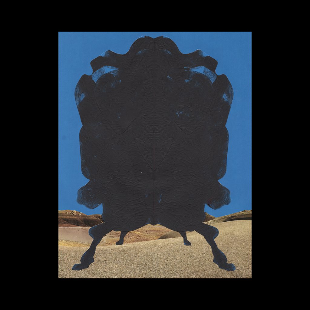 Unknown Face cover